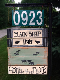 blackSheep